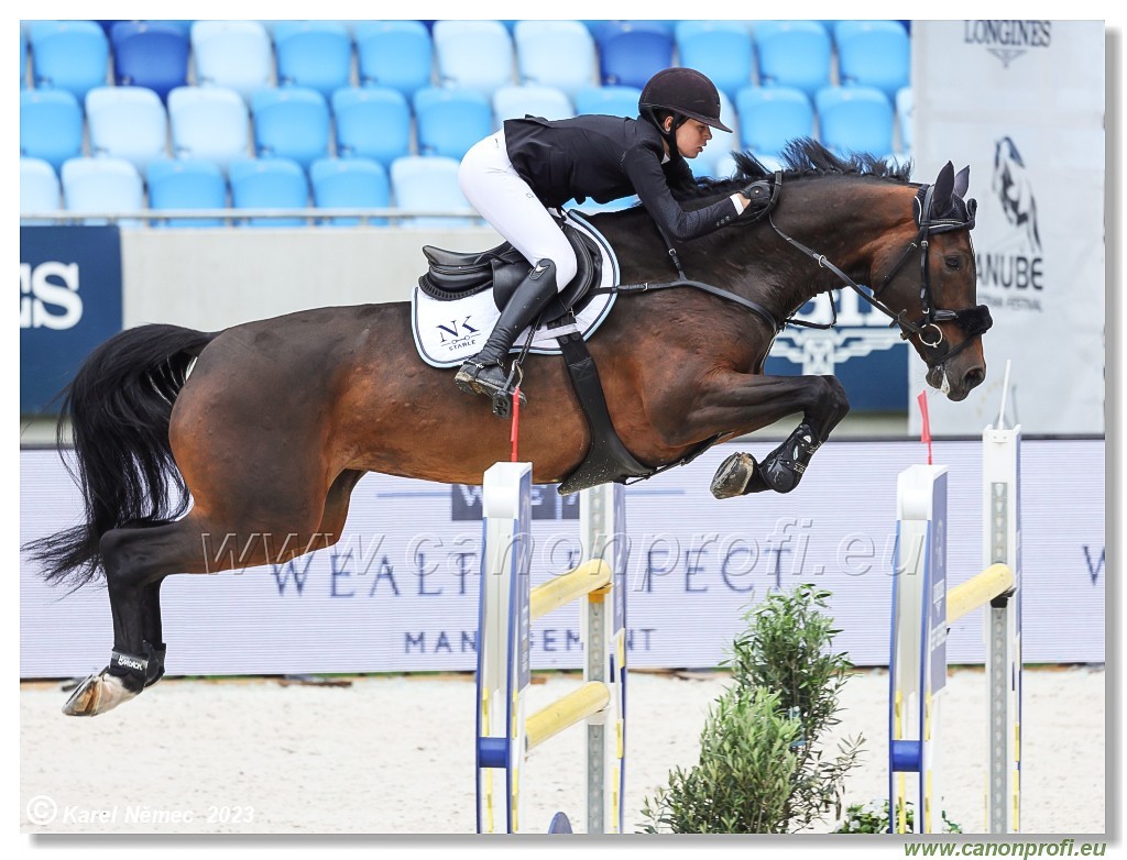 Danube Equestrian Festival - CSIO1* - Big Tour