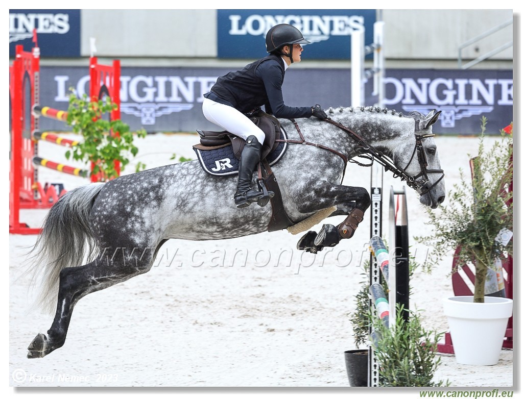 Danube Equestrian Festival - CSIO1* - Big Tour