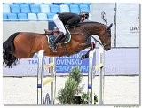 Danube Equestrian Festival - CSIO1* - Big Tour