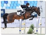 Danube Equestrian Festival - CSIO1* - Big Tour