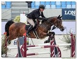 Danube Equestrian Festival - CSIO1* - Big Tour