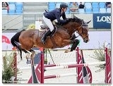 Danube Equestrian Festival - CSIO1* - Big Tour