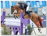 Danube Equestrian Festival - CSIO1* - Big Tour