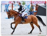 Danube Equestrian Festival - CSIO1* - Big Tour