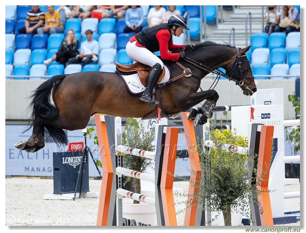 Danube Equestrian Festival - CSIO3* - Grand Prix of Bratislava