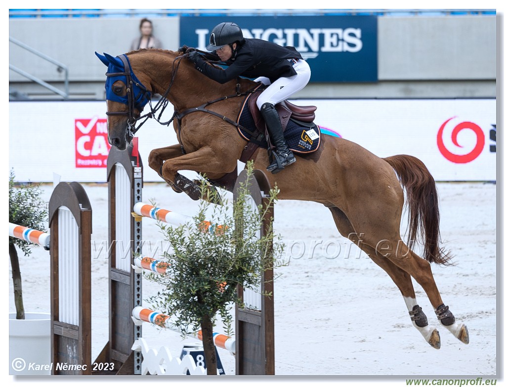 Danube Equestrian Festival - CSIO3* - Grand Prix of Bratislava