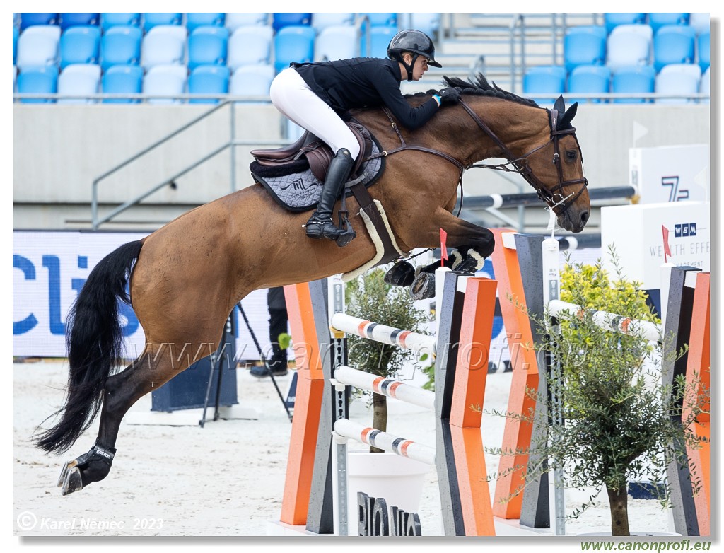 Danube Equestrian Festival - CSIO3* - Grand Prix of Bratislava