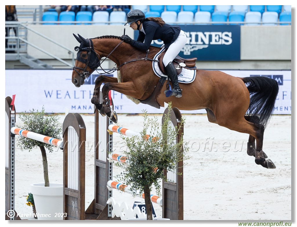 Danube Equestrian Festival - CSIO3* - Grand Prix of Bratislava