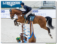 Danube Equestrian Festival - CSI1* - Middle Tour