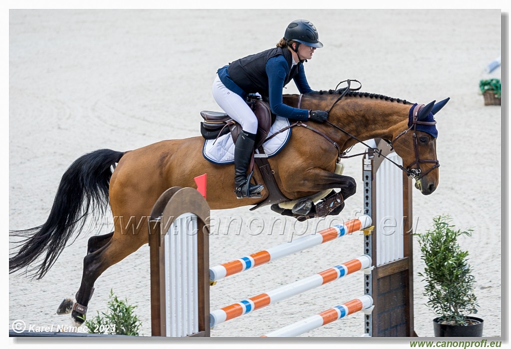 Danube Equestrian Festival - CSI1* - Middle Tour