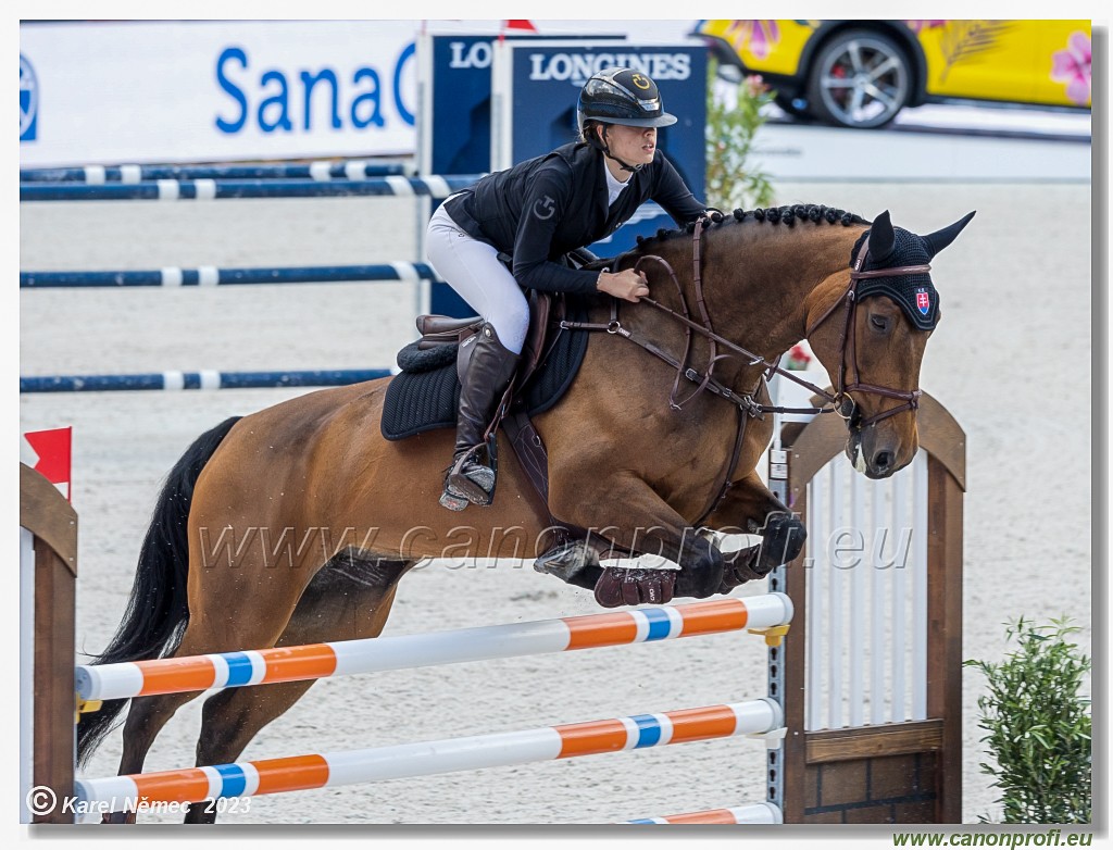 Danube Equestrian Festival - CSI1* - Middle Tour