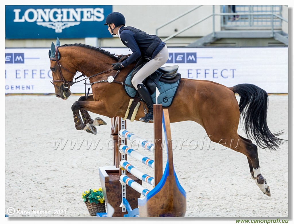 Danube Equestrian Festival - CSI1* - Middle Tour