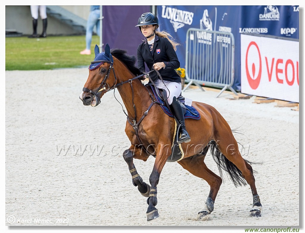 Danube Equestrian Festival - CSI1* - Middle Tour
