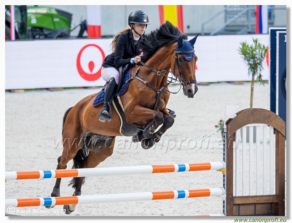 Danube Equestrian Festival - CSI1* - Middle Tour