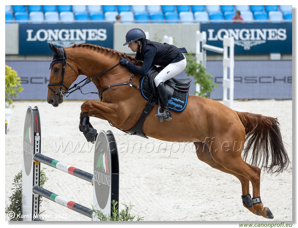 Danube Equestrian Festival - CSIO3* - Silver Tour