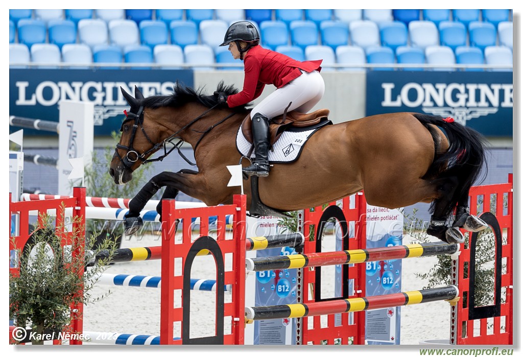 Danube Equestrian Festival - CSIO3* - Silver Tour