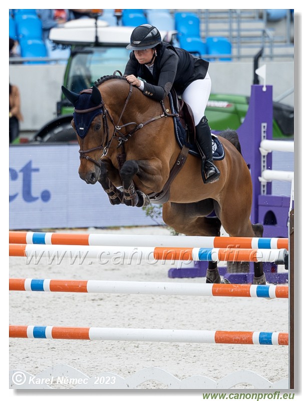 Danube Equestrian Festival - CSIO3* - Silver Tour
