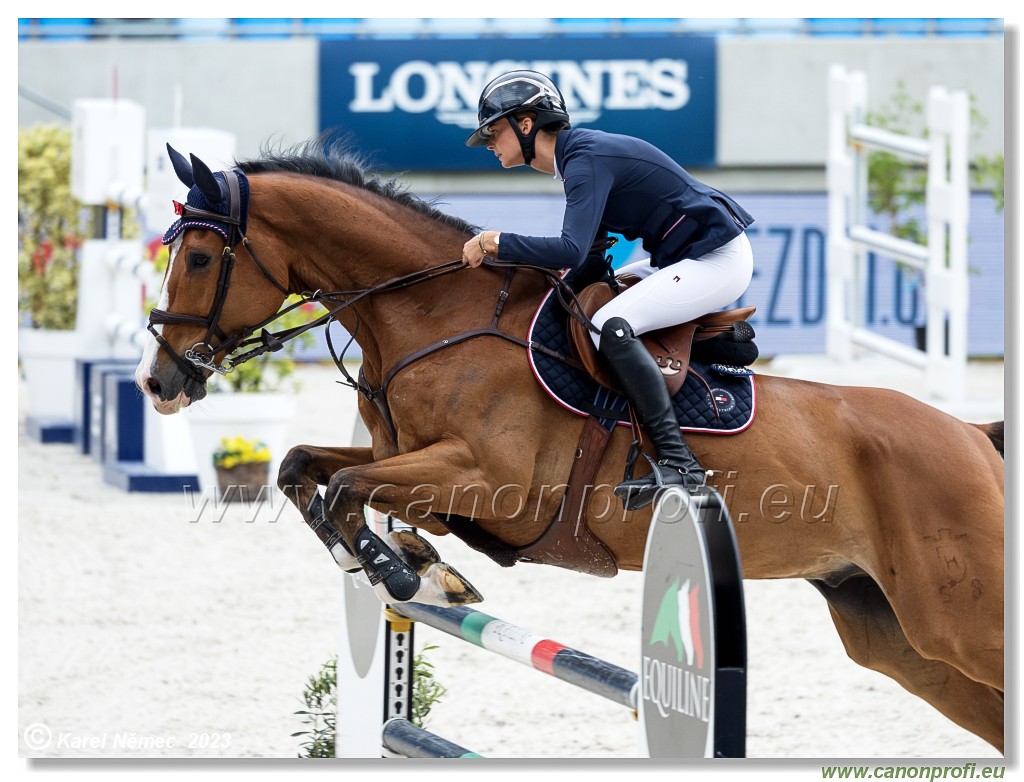 Danube Equestrian Festival - CSIO3* - Silver Tour