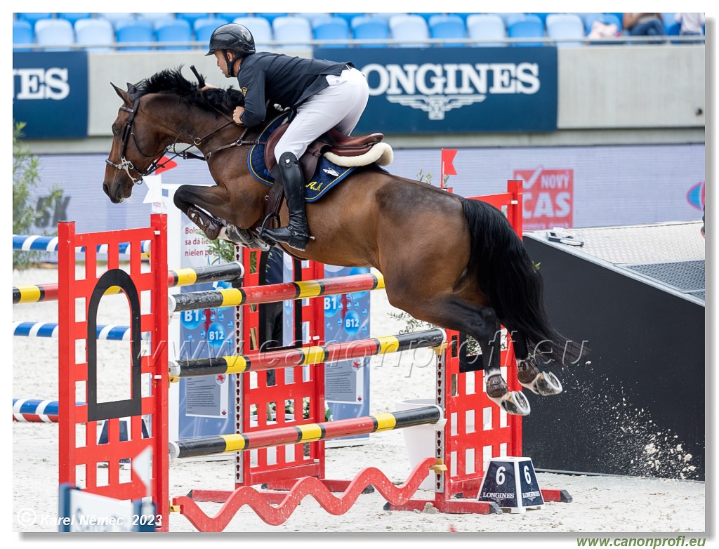 Danube Equestrian Festival - CSIO3* - Silver Tour