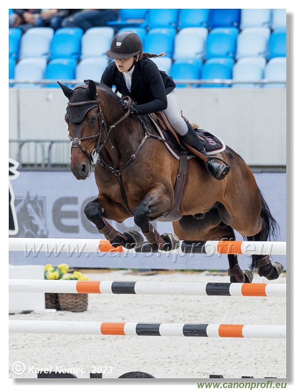 Danube Equestrian Festival - CSIO3* - Silver Tour
