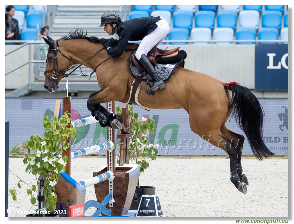 Danube Equestrian Festival - CSIO3* - Silver Tour