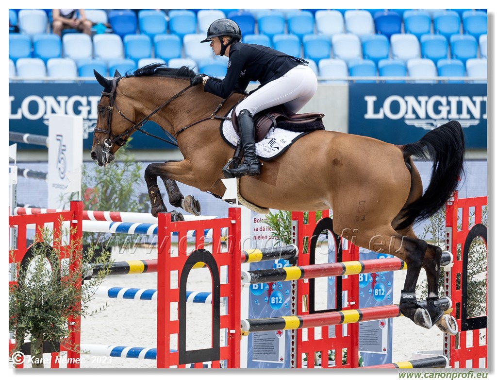 Danube Equestrian Festival - CSIO3* - Silver Tour