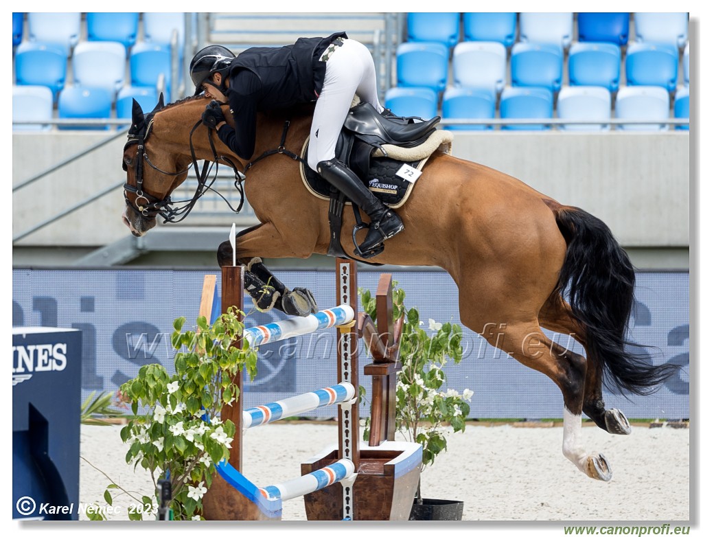 Danube Equestrian Festival - CSIO3* - Silver Tour