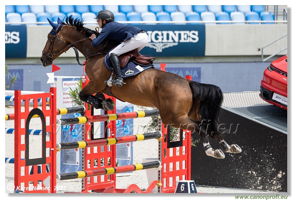 Danube Equestrian Festival - CSIO3* - Silver Tour
