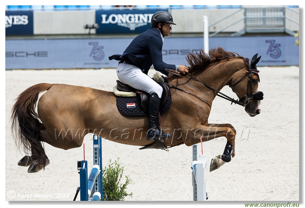 Danube Equestrian Festival - CSIO3* - Silver Tour