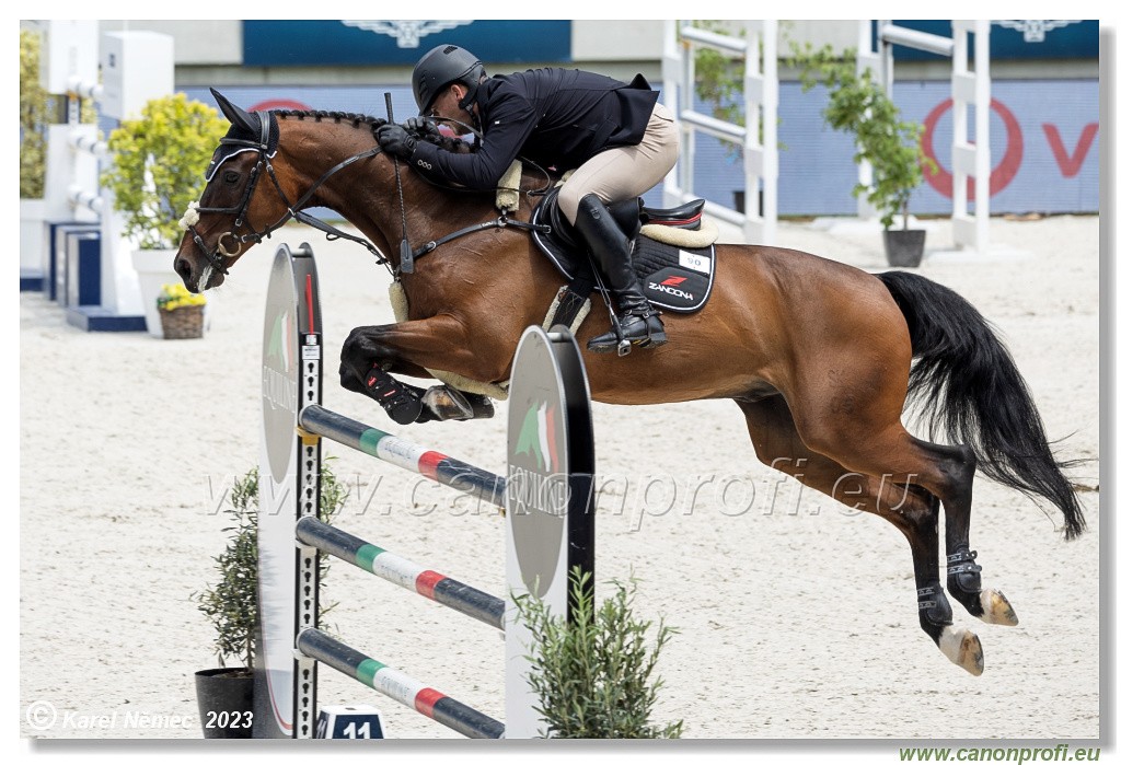 Danube Equestrian Festival - CSIO3* - Silver Tour