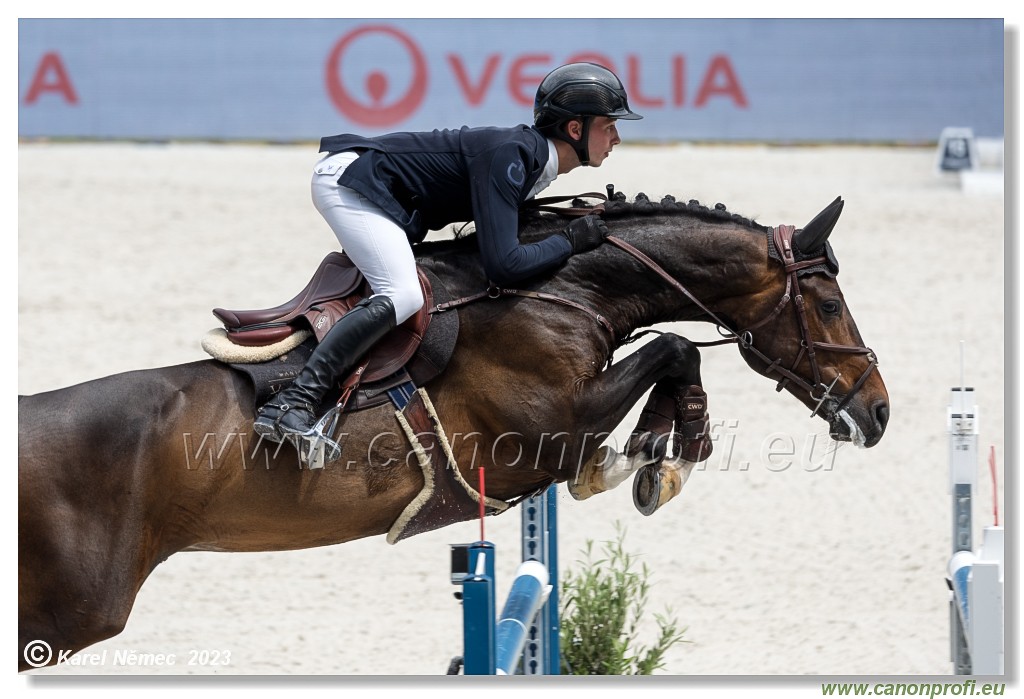 Danube Equestrian Festival - CSIO3* - Silver Tour