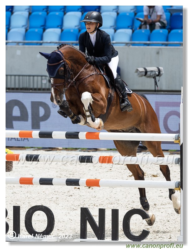 Danube Equestrian Festival - CSIO3* - Silver Tour