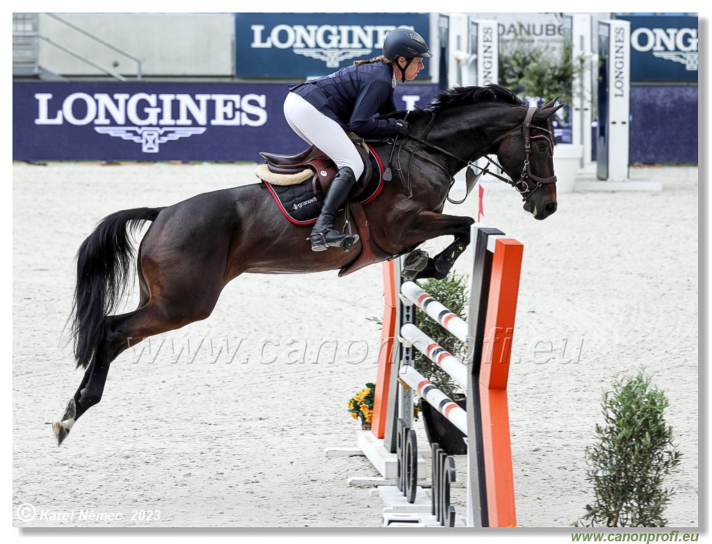 Danube Equestrian Festival - CSIYH1* - 6/7 Youngster Tour