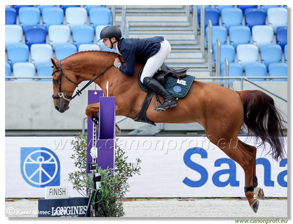 Danube Equestrian Festival - CSIYH1* - 6/7 Youngster Tour