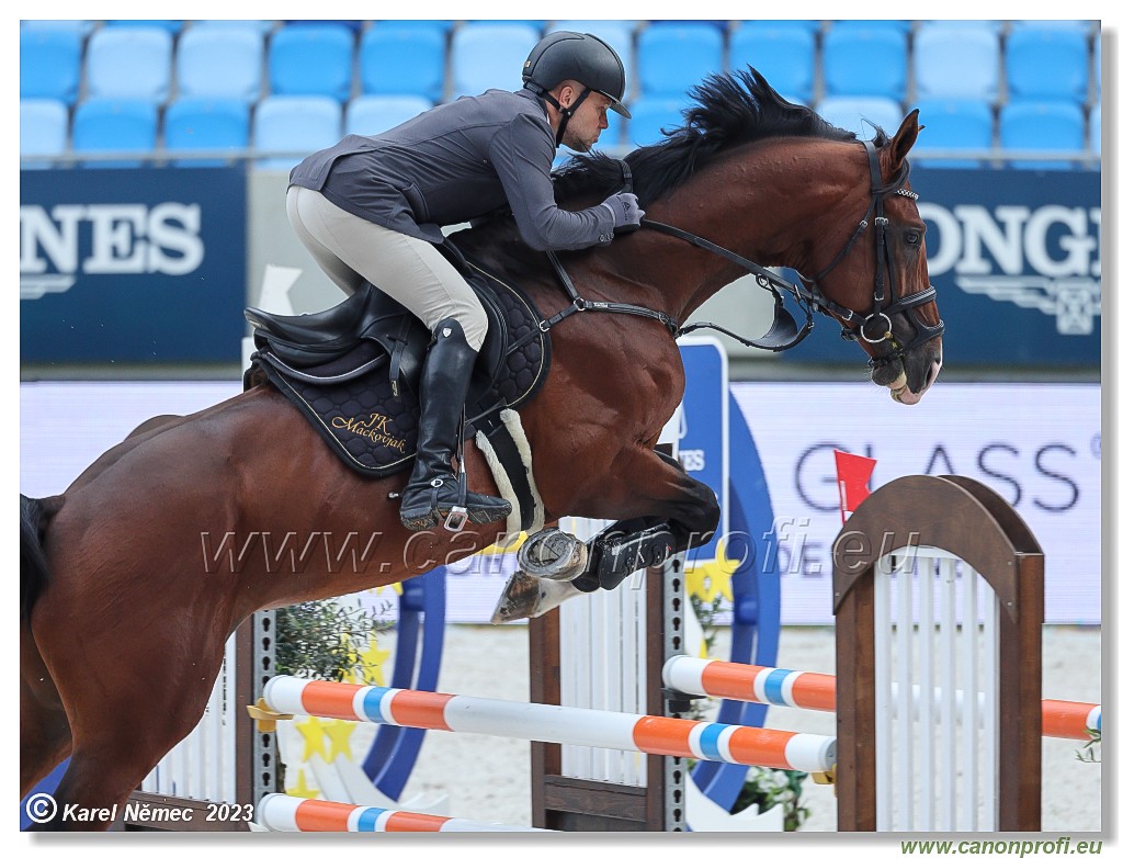 Danube Equestrian Festival - CSIYH1* - 6/7 Youngster Tour