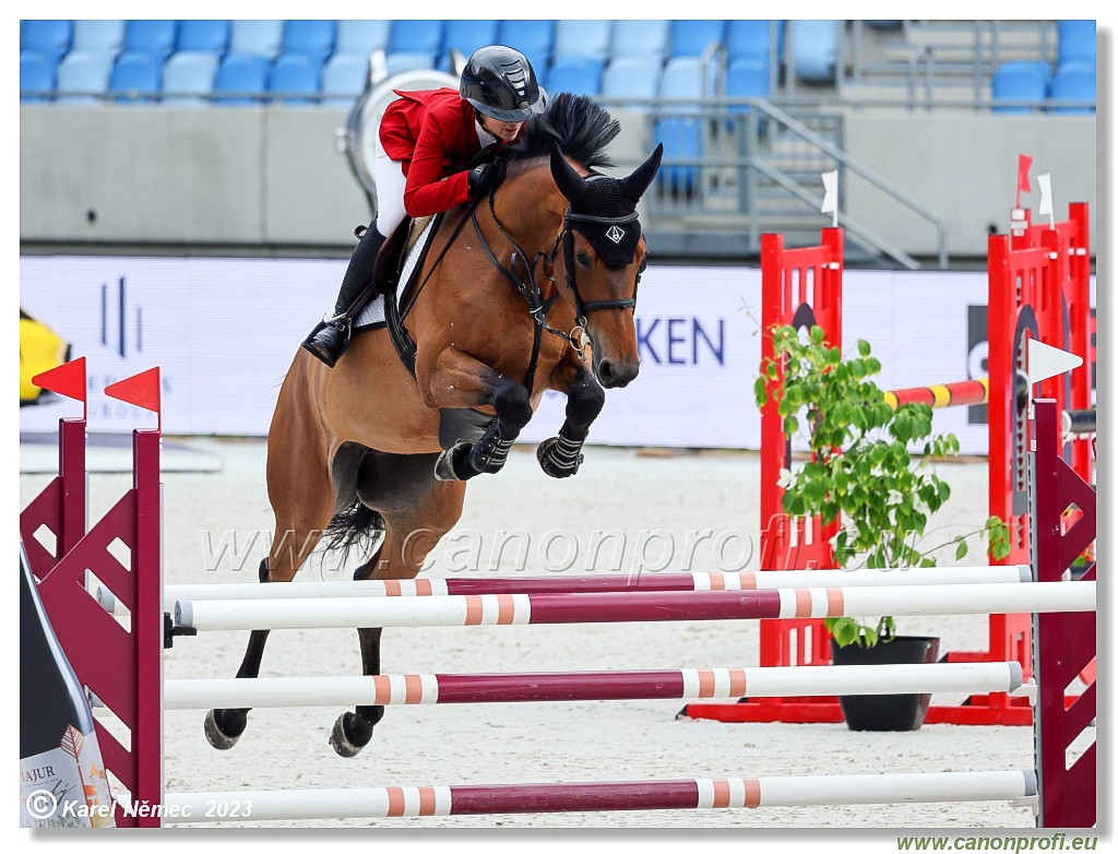 Danube Equestrian Festival - CSIYH1* - 6/7 Youngster Tour