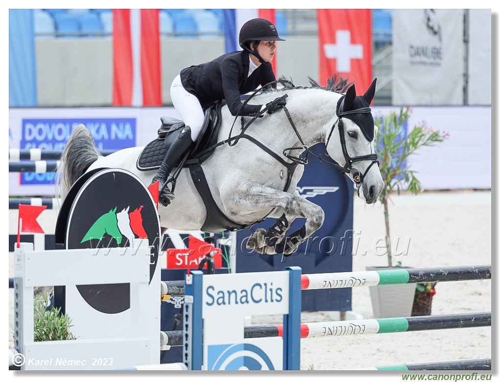 Danube Equestrian Festival - CSIYH1* - 6/7 Youngster Tour