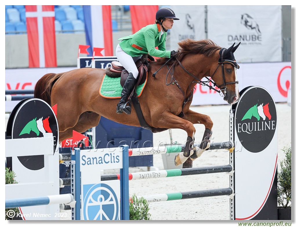 Danube Equestrian Festival - CSIYH1* - 6/7 Youngster Tour