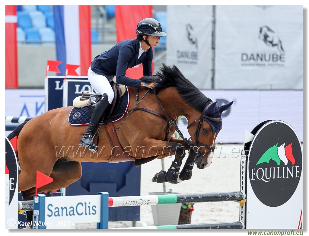 Danube Equestrian Festival - CSIYH1* - 6/7 Youngster Tour