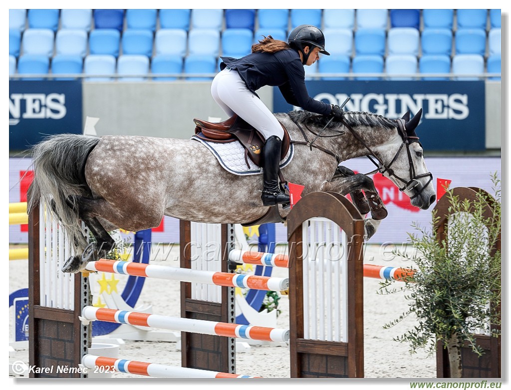 Danube Equestrian Festival - CSIYH1* - 6/7 Youngster Tour
