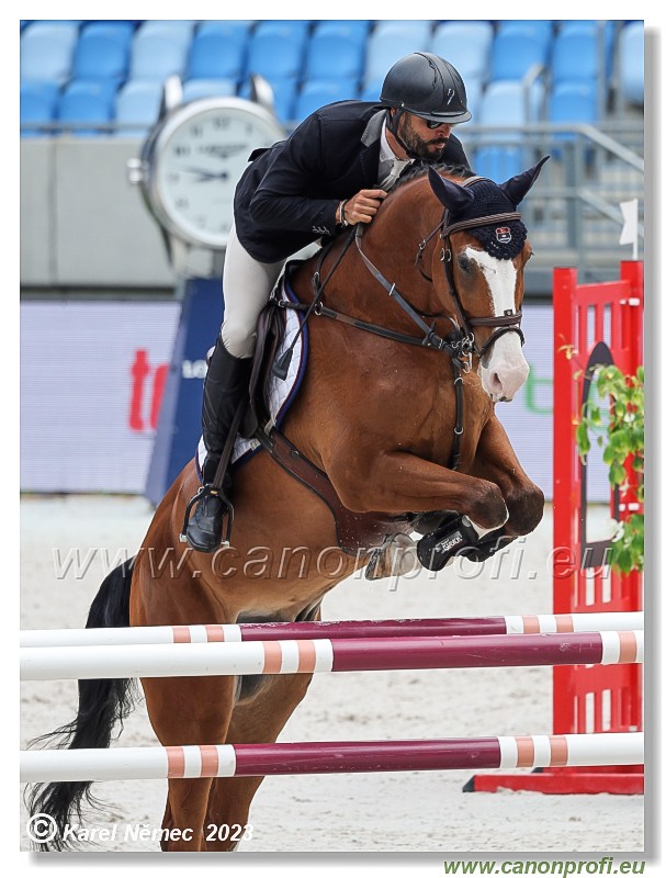 Danube Equestrian Festival - CSIYH1* - 6/7 Youngster Tour