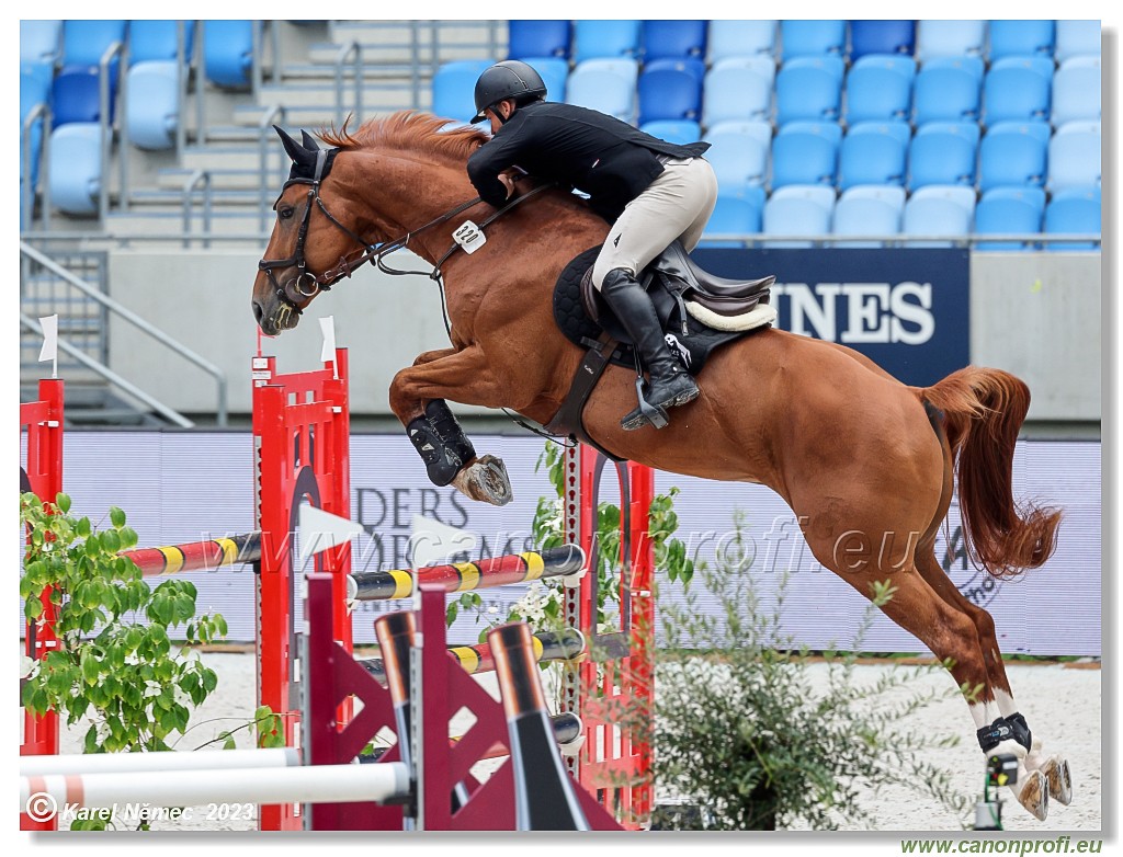 Danube Equestrian Festival - CSIYH1* - 6/7 Youngster Tour