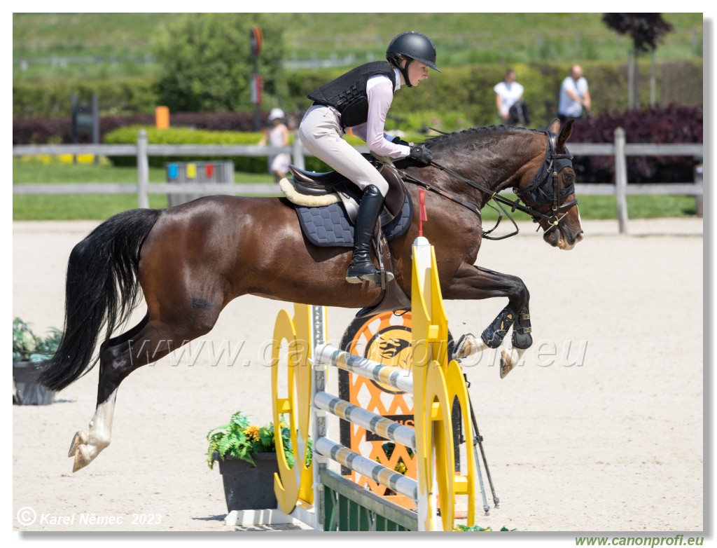 CSIAm-A - Amateur Tour Final - 115 cm