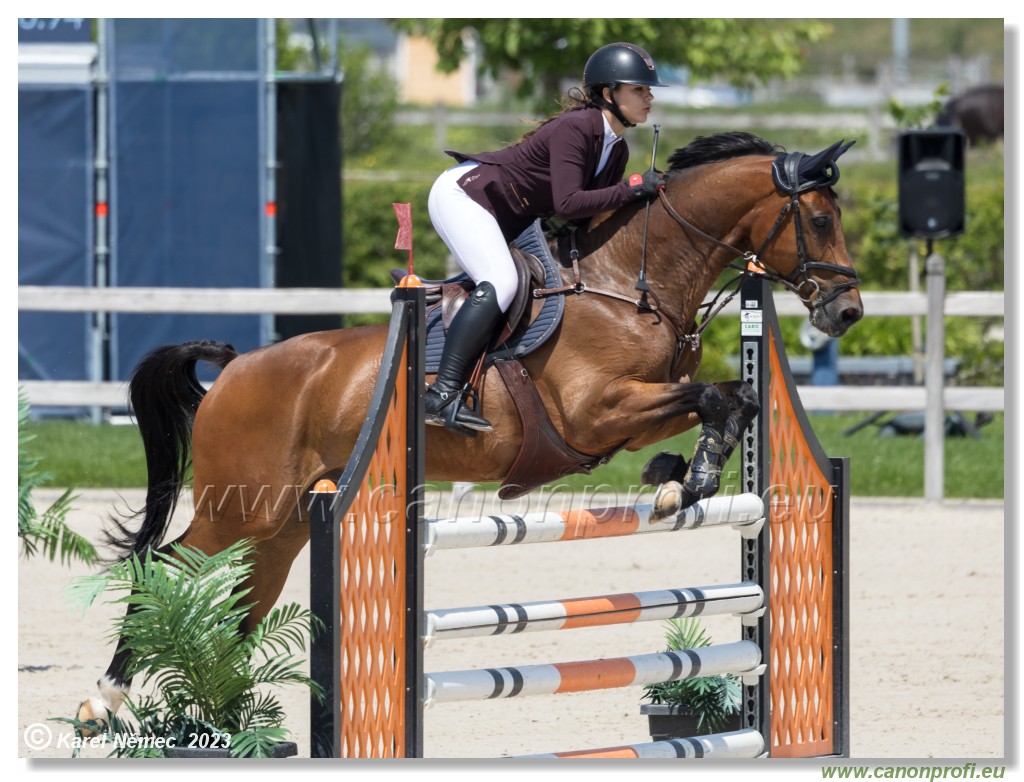 CSIAm-A - Amateur Tour Final - 115 cm