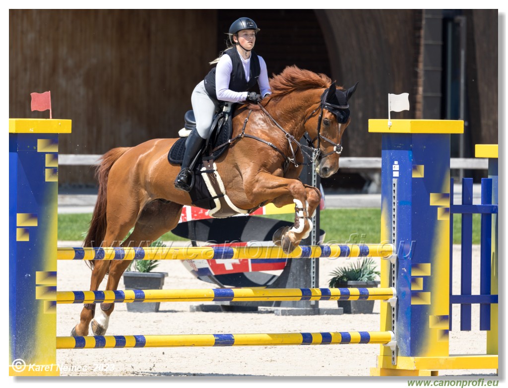 CSIAm-A - Amateur Tour Final - 115 cm