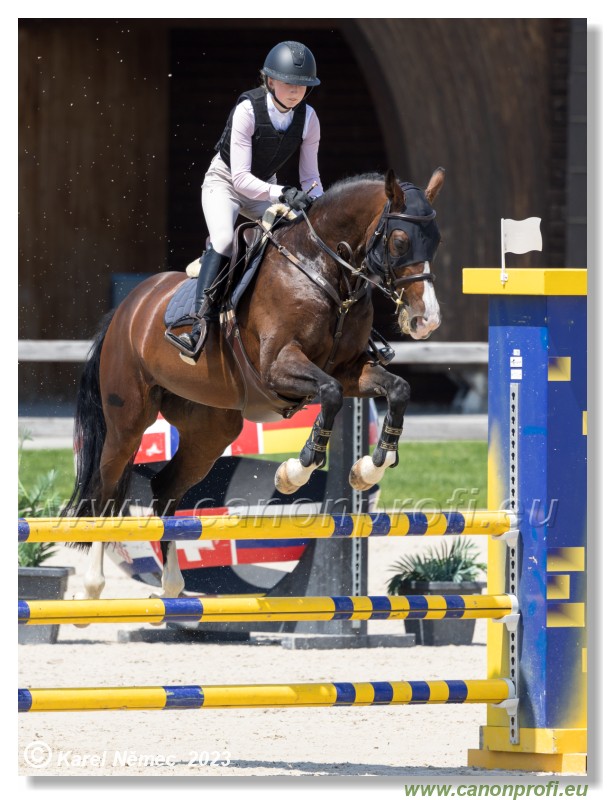 CSIAm-A - Amateur Tour Final - 115 cm