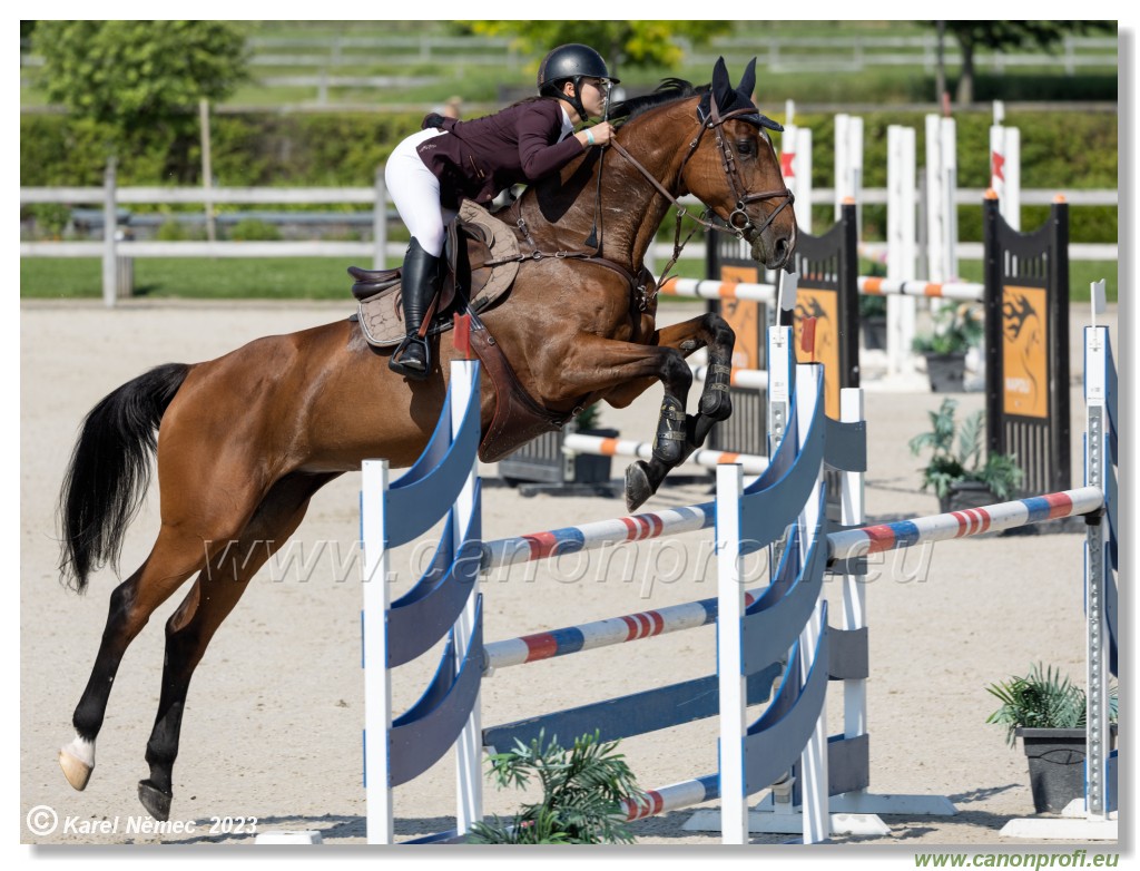 CSI 1* - Big Tour Final - 140 cm