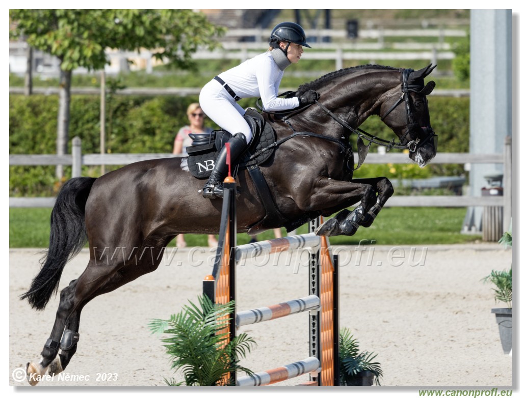 CSI 1* - Big Tour Final - 140 cm