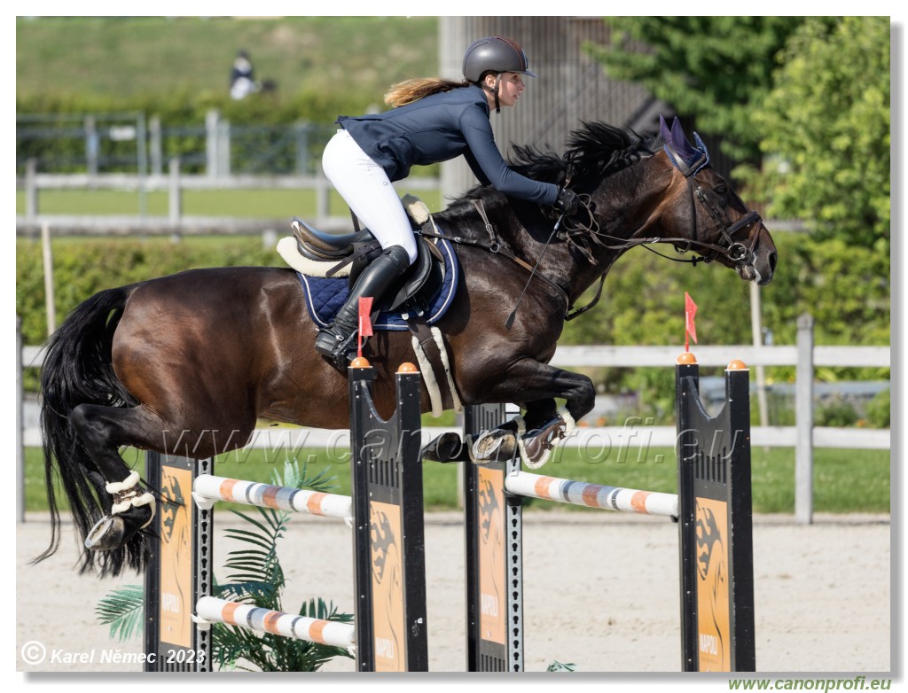CSI 1* - Big Tour Final - 140 cm