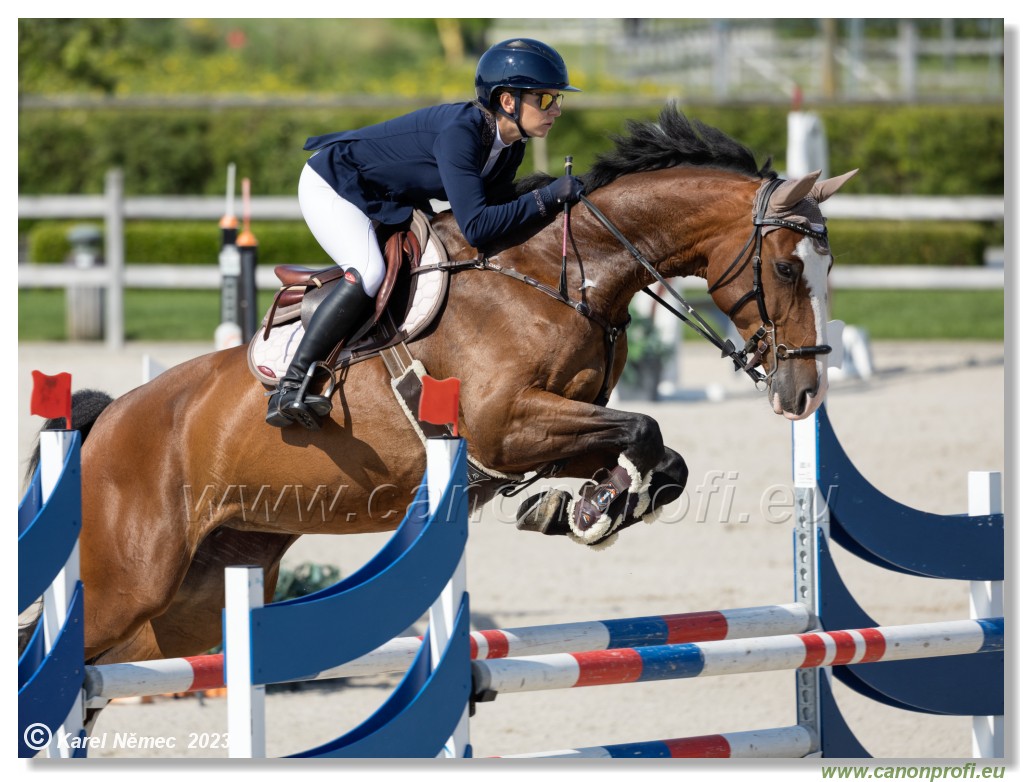 CSI 1* - Big Tour Final - 140 cm